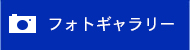 フォトギャラリー