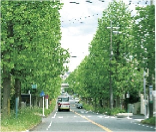 ｢謙虚で真摯に｣。今でも変わらない、この思いを胸に。