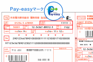 Pay-easyマーク